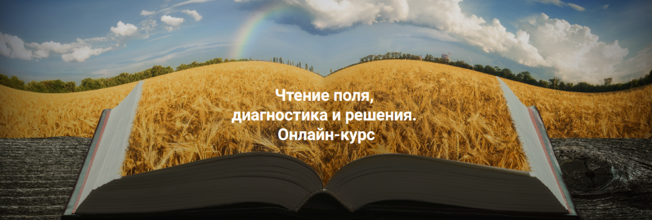 [Елена Веселаго] Чтение поля, диагностика и решения .Тариф Апгрейд до пакета "Полный" (2024)