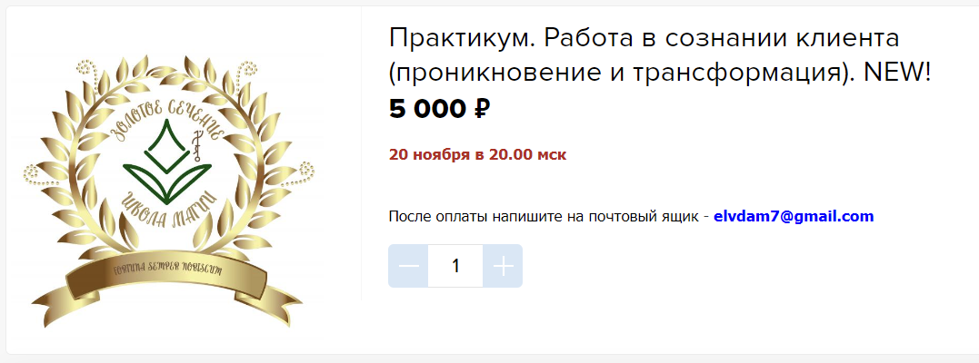 [Велимира] Практикум. Работа в сознании клиента (2023)
