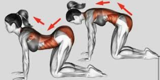 [Александр Волоткевич] Позиционирование диафрагмы (2025)