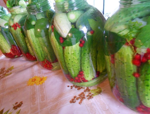 [Наташа Бутова] Запасы на зиму - как сохранить всё самое полезное и вкусное (2022)