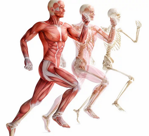 [Александр Волоткевич] Часть 1. Сагиттальная плоскость (2025)