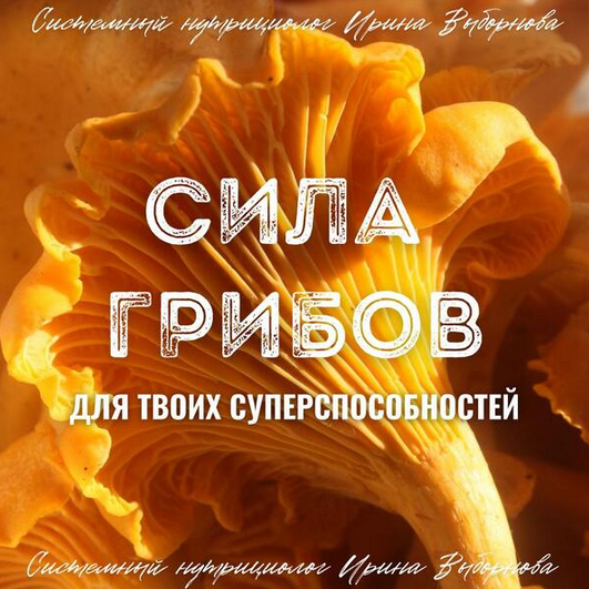 [Ирина Выборнова] [grunichka.nutrition] Сила грибов для твоих суперспособностей (2024)