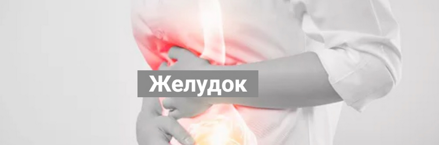 [Никита Истомин] Желудок (2024)