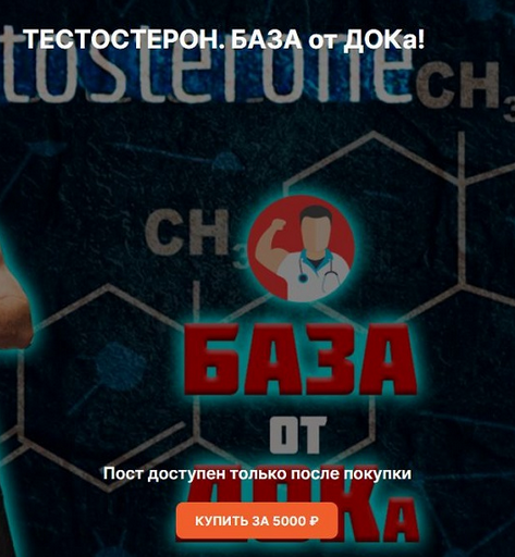 [Андрей Егоров] Тестостерон. База (2024)