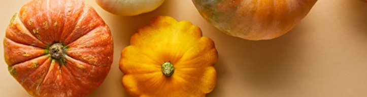 [Светлана Литвиненко] Протокол «Дети» (2024)