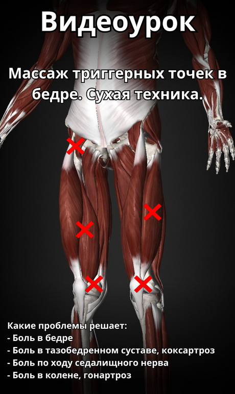 [Артём Пак] Массаж триггерных точек в бедре (2024)