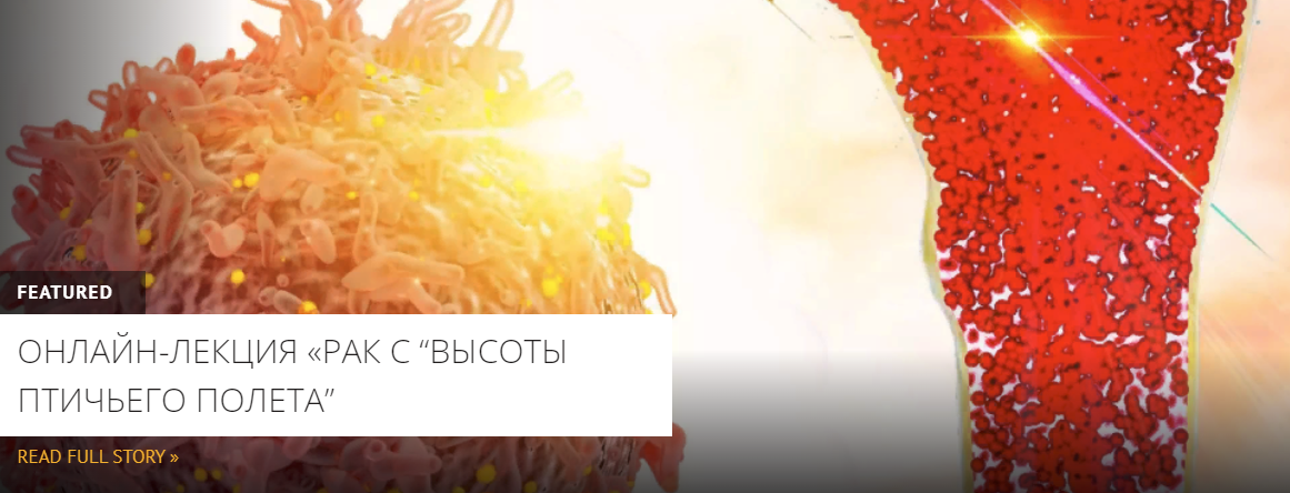 [Архэ] Мария Кондратова - Рак с «высоты птичьего полета» (Больные клетки: основы биологии рака) 2023