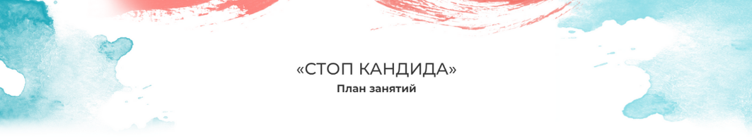 [Мария Волкова] Стоп кандида (2023)