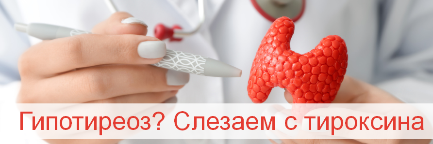 [Валерий Подрубаев] Гипотиреоз? Слезаем с тироксина (2023)