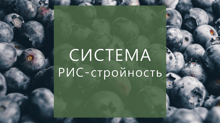 [Суханова Елена] Система РИС-стройность (2023)