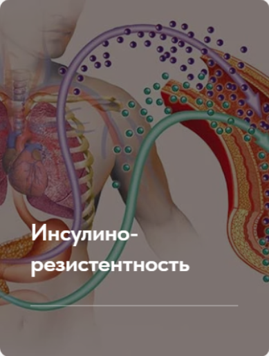 [Елена Ержанова] Лечебный протокол "Инсулинорезистентность".Тариф без обратной связи (2023)