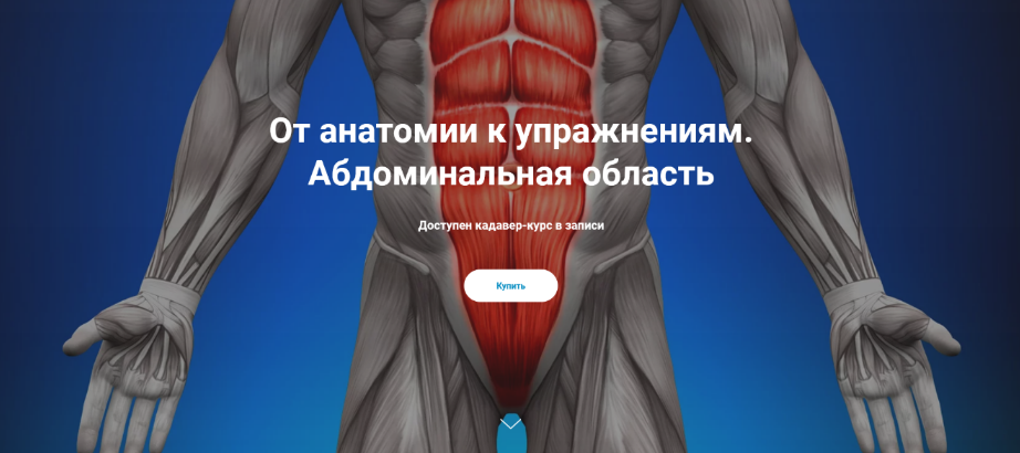 [Антон Шапочка, Михаил Касаткин] От анатомии к упражнениям. Абдоминальная область (2022)