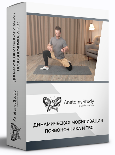 [Вадим Балюк] [Анатомия] Динамическая мобилизация позвоночника и ТБС (2022)