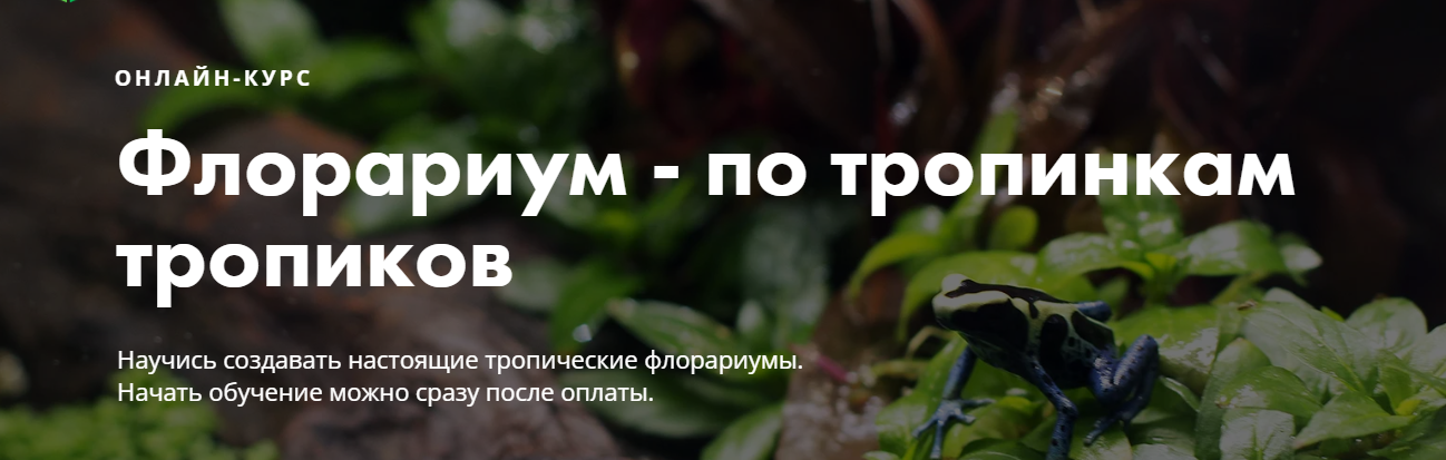 [Онлайн-школа «Мир за стеклом»] Флорариум - по тропинкам тропиков (2019)