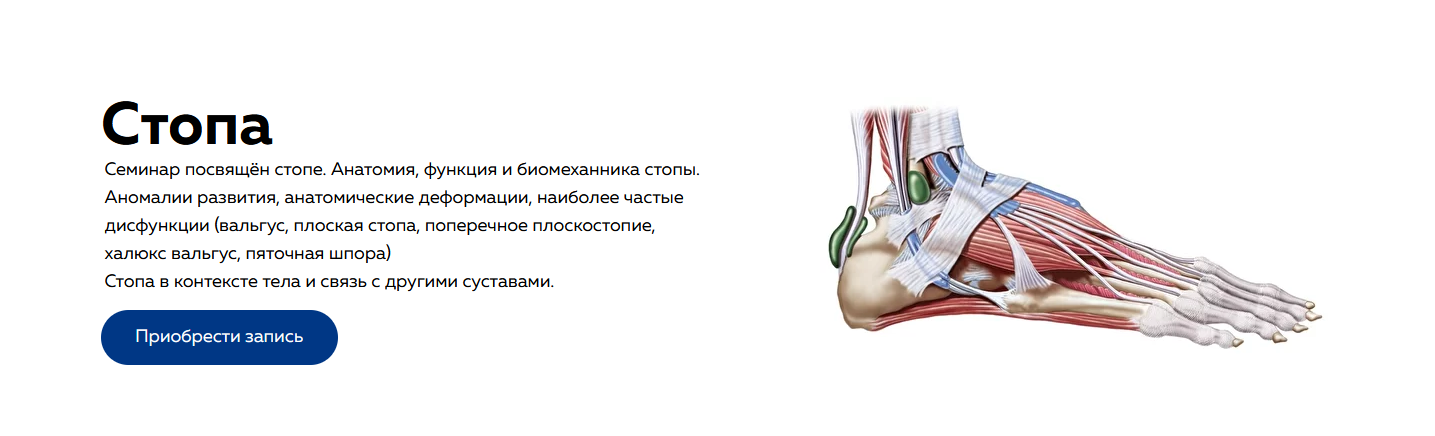 [Дмитрий Кущик, Григорий Крутов] [NL-School] Cтопа (2022)
