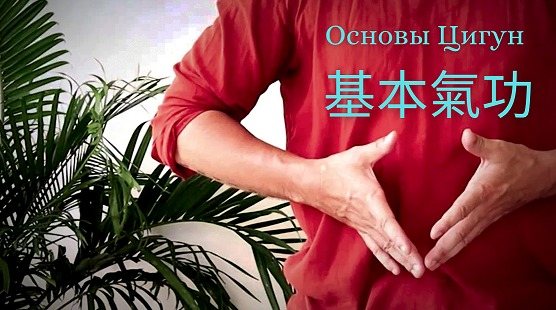 [Дамо Митчелл] Основы Цигун (2022)