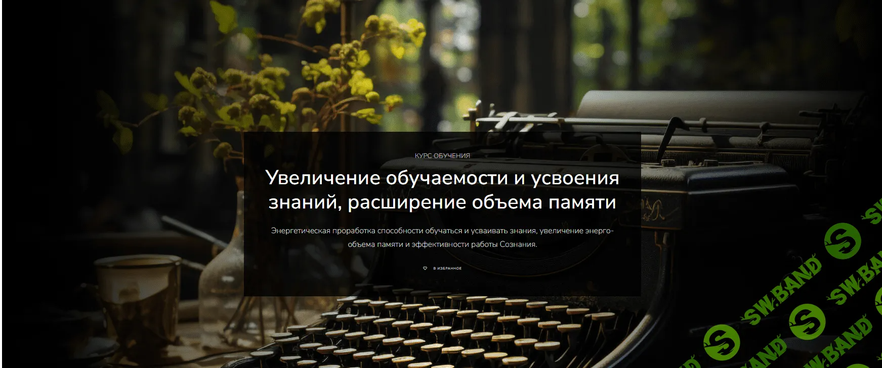 [Lea Adje] Увеличение обучаемости и усвоения знаний, расширение объема памяти (2023)