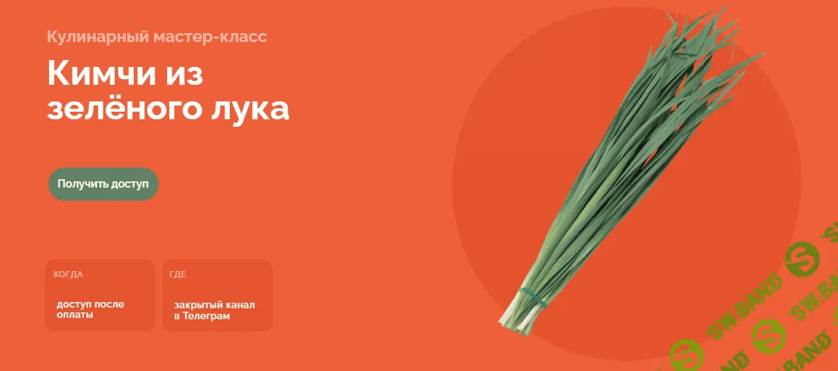 [Ferment in Wonderland] Кимчи из зелёного лука (2023)