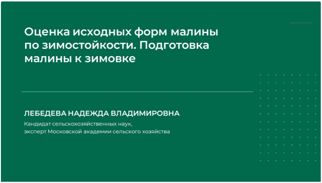 [НИИДПО] Оценка исходных форм малины по зимостойкости. Подготовка малины к зимовке (2024)