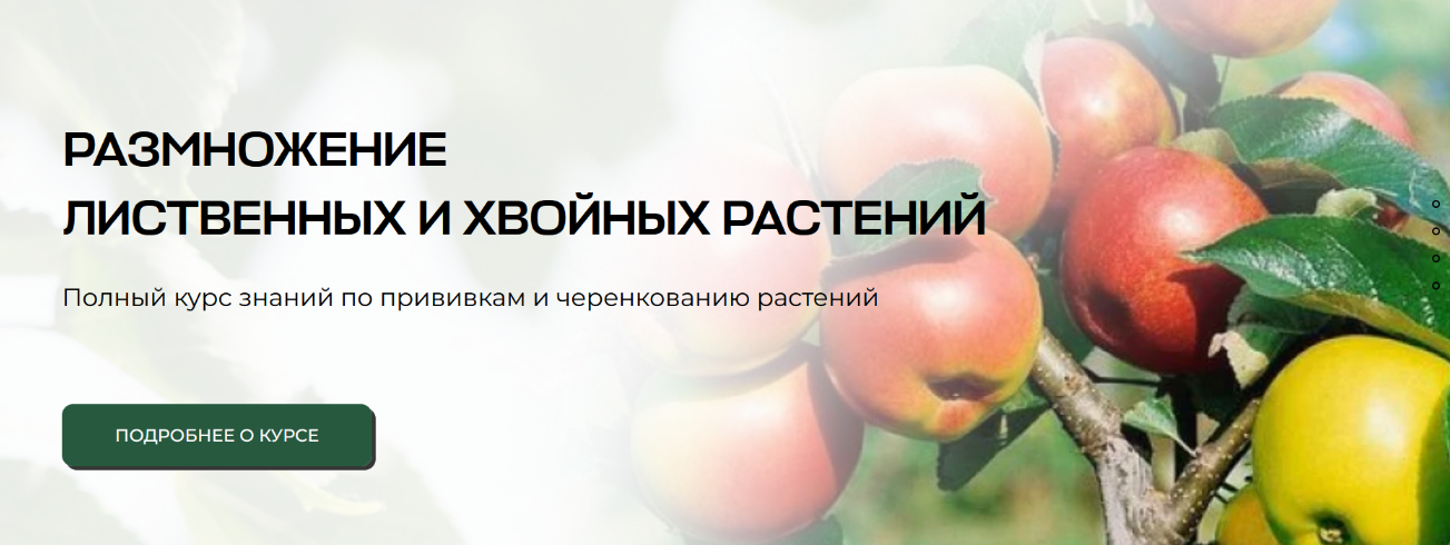 [Владимир Задоркин] Размножение лиственных и хвойных растений. Тариф Самостоятельный (2024)