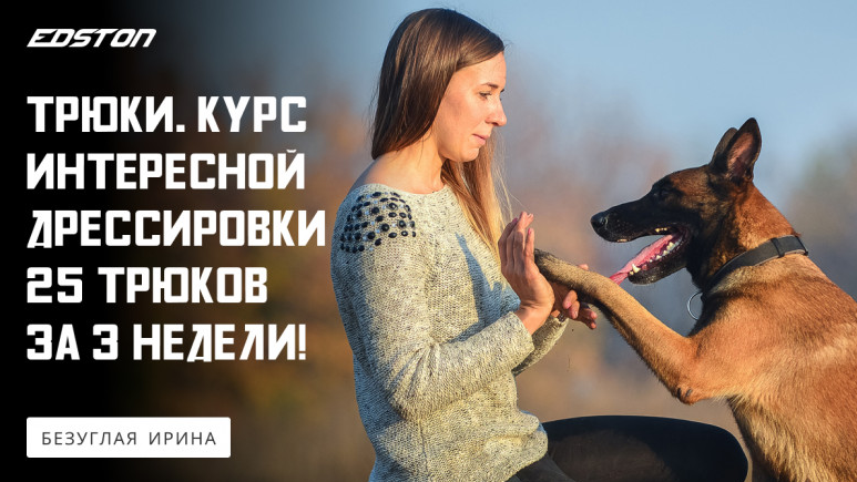 [Ирина Безуглая] Трюки. Курс интересной дрессировки. 25 трюков за 3 недели (2024)