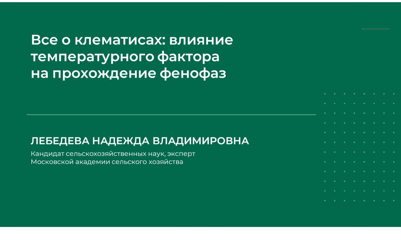 [Надежда Лебедева] Все о клематисах: влияние температурного фактора на прохождение фенофаз (2024)