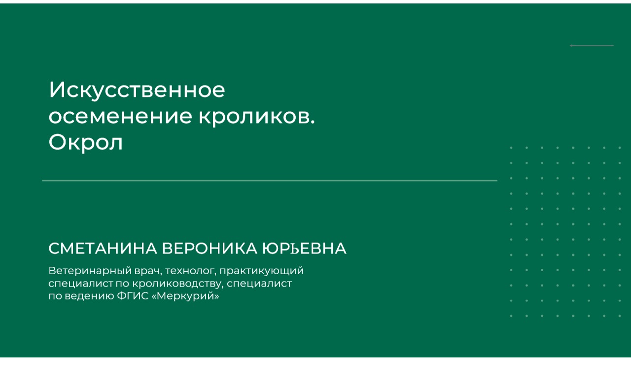 [Вероника Сметанина] Искусственное осеменение кроликов. Окрол (2024)