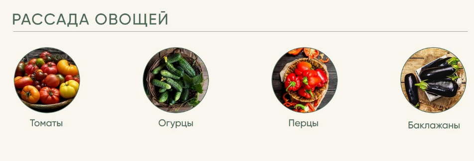 [Анна Акинина] Рассада без досады. Овощная рассада (2023)