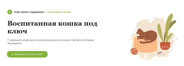 [Марина Жеребилова] Воспитанная кошка под ключ (2022)