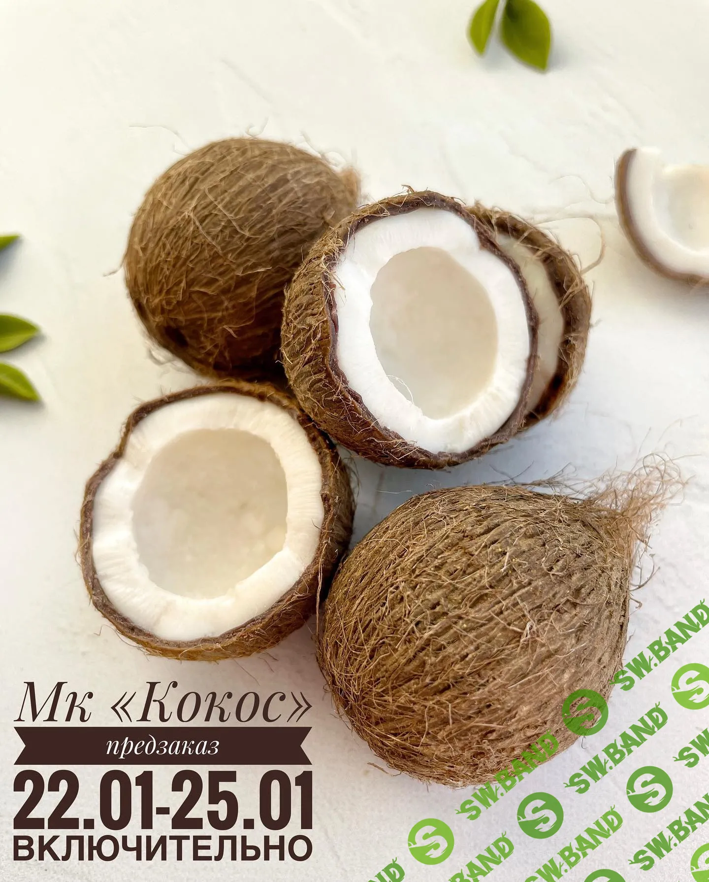 [lep_ot_a] Кокос (2022)