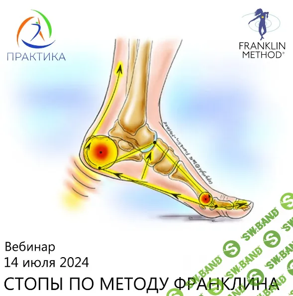 [Центр Практика] Стопы по методу Франклина (2024)