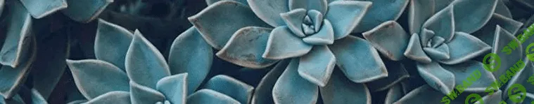 [Венера Хабирова] Давление – ты как. или ВСДшники поймут ... (2023)