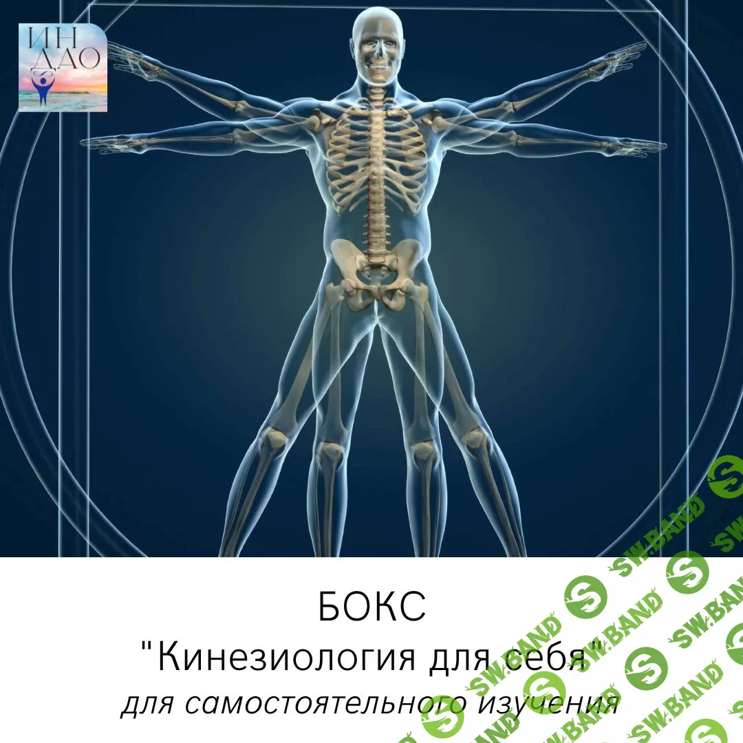 [Сергей Матюшкин] Бокс «Кинезиология для себя» (2023)