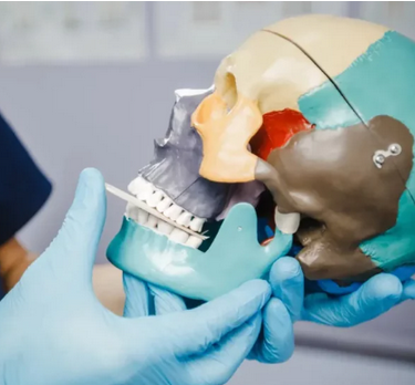 [Андрей Максимов] Мышечно-фасциальная терапия дисфункции ВНЧС с позиции прикладной кинезиологии (2025)