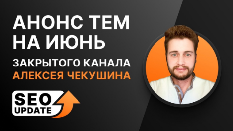 [Алексей Чекушин] Закрытый телеграм-канал "Seo Update". Август (2024)